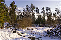 photo "Breath of Spring"