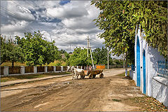 фото "Сельская дорога"