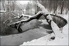 photo "Shot down by blizzard"