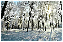 photo "Footprints"