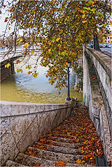 photo "*"