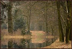 photo "***"