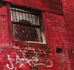 фото "*"