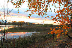 photo "Late autumn. Sunset."