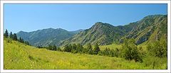 photo "Altay's landscape"