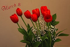 photo "***"