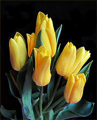 photo "***"