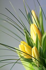 photo "***"