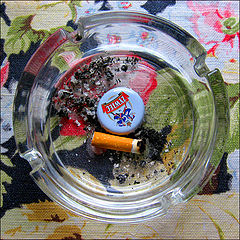 photo "Breakfast of Champions"