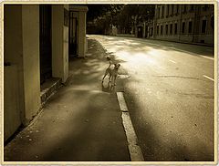 photo "***"