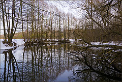 photo "Evening Silence"