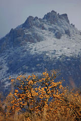 photo "***"