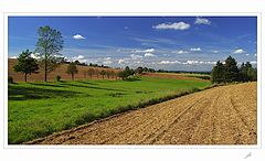 фото "cut landscape"