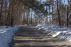 фото "Полосатая дорога."