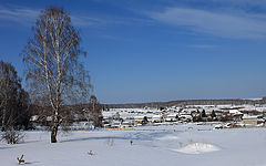 photo "пейзаж, деревня, береза, зима, снег"