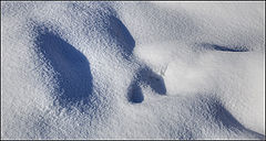 photo "Last winter look"
