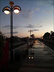 photo "The first  train."