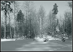 фото "Последняя песнь зимы..."