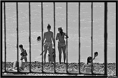 photo "FencedBathingBeauties"