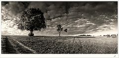 фото "afternoon wonders"