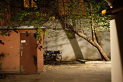 photo "***"
