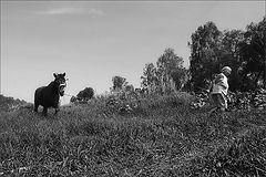 photo "A way..."