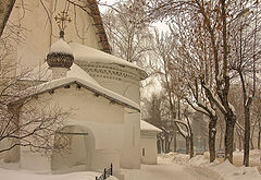 photo "SNOW AGAIN ... Spring froze ..."