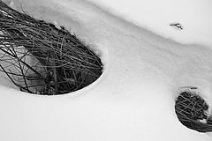 photo "April's Window"