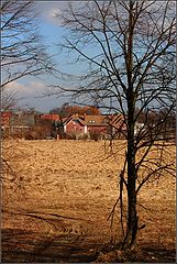 photo "***"