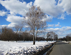 фото "Март"
