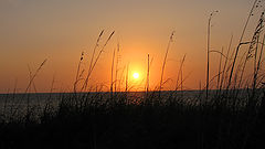 фото "Sunset"