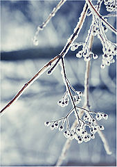 photo "***"