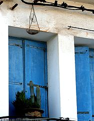 фото "windows"
