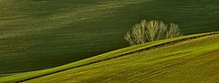 фото "Winter in Tuscany"