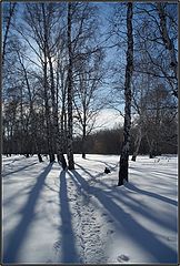 фото "Предчувствие весны"
