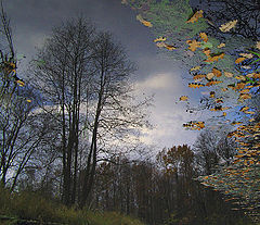 photo "Looks in the mirror late fall ..."