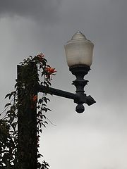 фото "***"