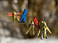 photo "Waiting for the spring"
