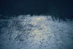 photo "* * *"