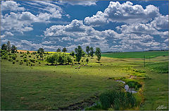 фото "Летний пейзаж с коровками"