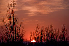 photo "Fire Sunset"