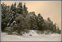 photo "***"