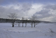 photo "***"