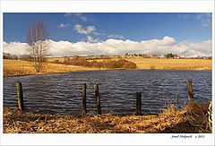 фото "***"