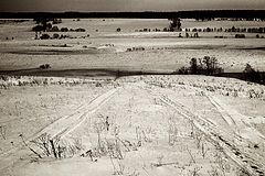 photo "***"