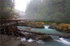 photo "Fog over rapids"