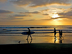 фото "Returning Home"