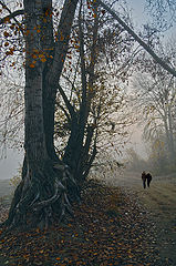 photo "***"