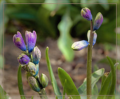 фото "Рождение"