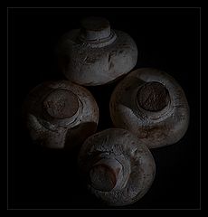 photo "Low key mushrooms"
